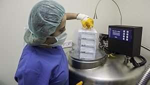 Dondurulmuş embriyo transferi son derece sağlıklı!