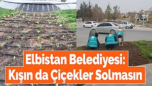Elbistan Belediyesi: Kışında Çiçekler Solmasın