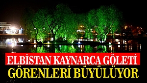 Elbistan Kaynarca Göleti Görenleri Büyülüyor