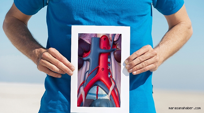 En Tehlikeli 4 Damar Hastalığı