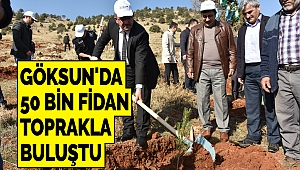 Göksun'da 50 Bin Fidan Toprakla Buluştu