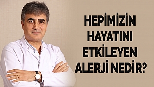 Hepimizin hayatını etkileyen alerji nedir?