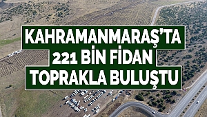 Kahramanmaraş'ta 221 Bin Fidan Toprakla Buluştu