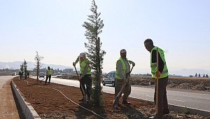 Kahramanmaraş’ta Ağaçlandırma Çalışmaları Sürüyor