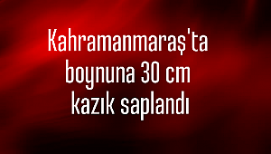 Kahramanmaraş'ta boynuna 30 cm kazık saplandı