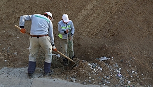 Kahramanmaraş’ta Caddeler Ağaçlarla Süsleniyor