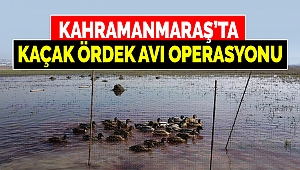 Kahramanmaraş’ta Kaçak Ördek Avı Operasyonu