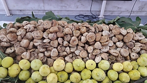 Kuru meyve sektöründen Cumhurbaşkanı Erdoğan'a TMO teşekkürü