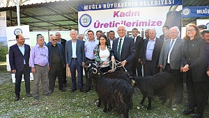 Muğlalı kadınlara kıl keçisi desteği