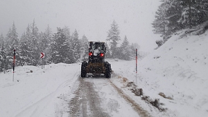 Büyükşehirde Karla Mücadele Devam Ediyor