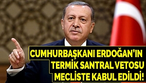 Erdoğan'ın termik santral vetosu mecliste kabul edildi!