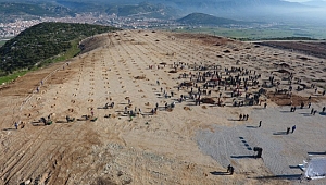 Eski çöp sahasına binlerce fidan dikildi