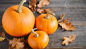 Kış hastalıklarıyla savaşan 8 besin!