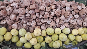 Kuru Meyve İhracatçıları Yalın Üretim İle Verimliliği Arttıracak