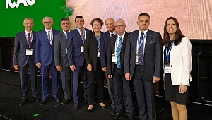 Türkiye pamuk üretiminde dünya altıncısı, ithalatta beşinci