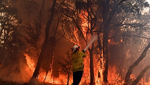 Avustralya Orman Yangını Mega Yangınlar Gerçeğini Fark Etmemizi Sağlamalı