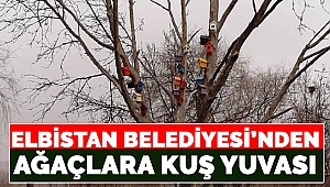Elbistan Belediyesi’nden Ağaçlara Kuş Yuvası