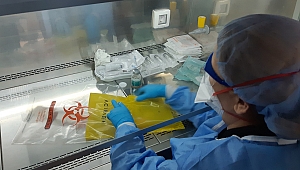 Hemofili hastalığında kapalı kapılar gen tedavisi ile aralanıyor