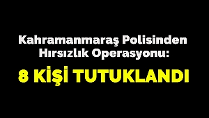 Kahramanmaraş Polisinden Hırsızlık Operasyonu: 8 Kişi Tutuklandı