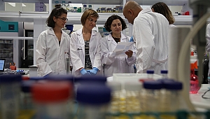 Kanserle Mücadelede Metastazdan Sorumlu Proteinler Yakalandı