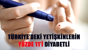 Türkiye’deki Yetişkinlerin Yüzde 11’i Diyabetli