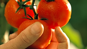 Türkiye Perakende Sos Pazarı, 2019’da yüzde 5 büyüdü