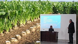 Afşin’de Şekerpancarı Bilgilendirme Toplantısı Yapıldı