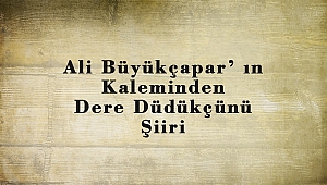 Ali Büyükçapar’ ın Kaleminden Dere Düdükçünü Şiiri