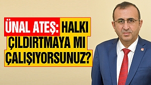 Ateş: Halkı çıldırtmaya mı çalışıyorsunuz?