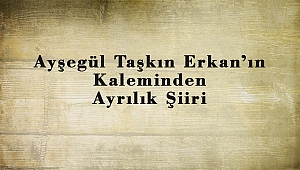 Ayşegül Taşkın Erkan’ın Kaleminden Ayrılık Şiiri