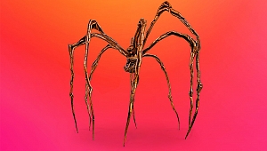 Başkaları Yandı Siz Yanmayın: Burning Man Festival Biletiniz Sahte Çıkabilir!