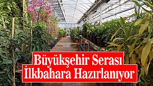 Büyükşehir Serası İlkbahara Hazırlanıyor