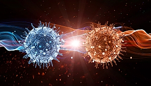 Coronavirüs İnternete Sıçradı