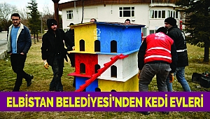 Elbistan Belediyesi’nden Kedi Evleri