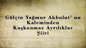 Gülçin Yağmur Akbulut’ un Kaleminden Kuşkonmaz Ayrılıklar Şiiri