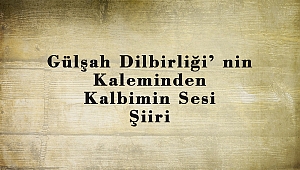 Gülşah Dilbirliği' nin Kaleminden Kalbimin Sesi Şiiri