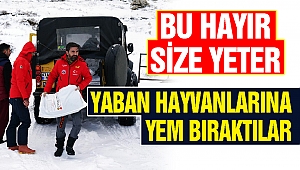 Kahramanmaraş’ta Yaban Hayvanlarına Yem Bıraktılar