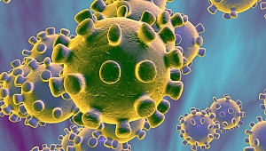 Korona Virüsü İçin İstanbul’da Önemli Buluş