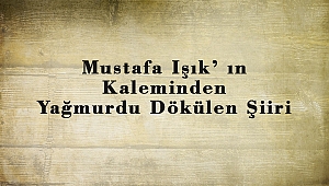 Mustafa Işık' ın Kaleminde Yağmurdu Dökülen Şiiri