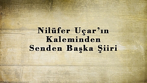 Nilüfer Uçar’ın Kaleminden Senden Başka Şiiri