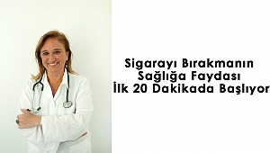 Sigarayı Bırakmanın Sağlığa Faydası İlk 20 Dakikada Başlıyor