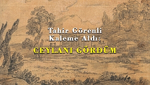 Tahir Görenli Kaleme Aldı: CEYLANI GÖRDÜM