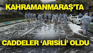 Caddeler 'Arısili' Oldu