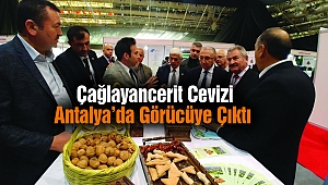 Çağlayancerit Cevizi Antalya’da Görücüye Çıktı