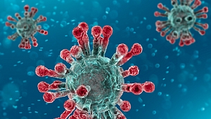 Covid-19 Salgını Hızla Büyüyor