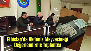 Elbistan’da Akdeniz Meyvesineği Değerlendirme Toplantısı