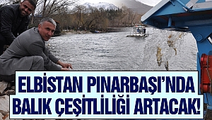 Elbistan Pınarbaşı’na Anaç Balık Bırakıldı
