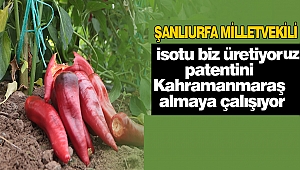 İsotu biz üretiyoruz patentini Kahramanmaraş almaya çalışıyor