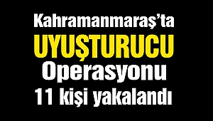 Jandarmadan uyuşturucu operasyonu: 11 kişi yakalandı