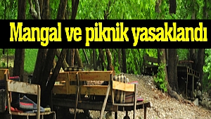 Mangal ve piknik yasaklandı